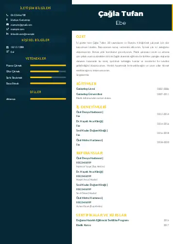 Ebe Cv Örnekleri cv indir